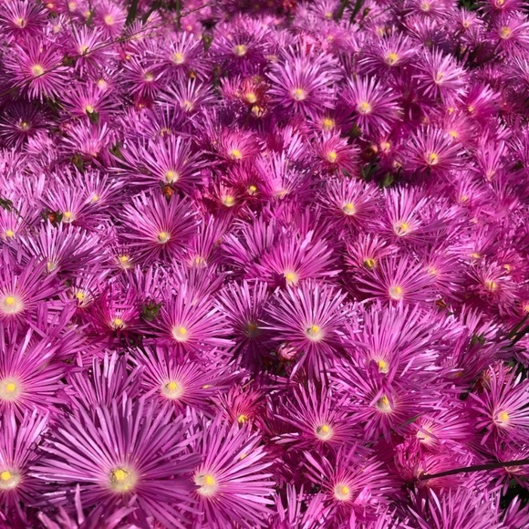 Welcome - Picture 7 of 14